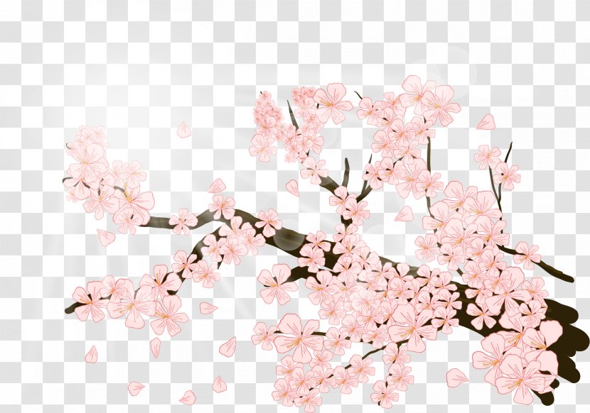 Cherry Blossom Illustration - Bamboo - Gorgeous Plum Transparent PNG