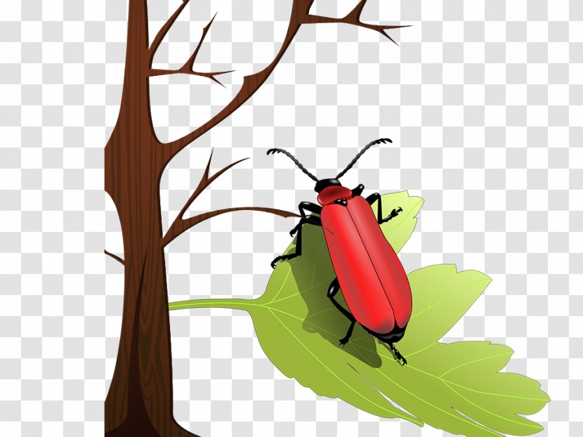 Volkswagen Beetle Ladybird Insect Wing Clip Art - Insects On The Leaves Transparent PNG