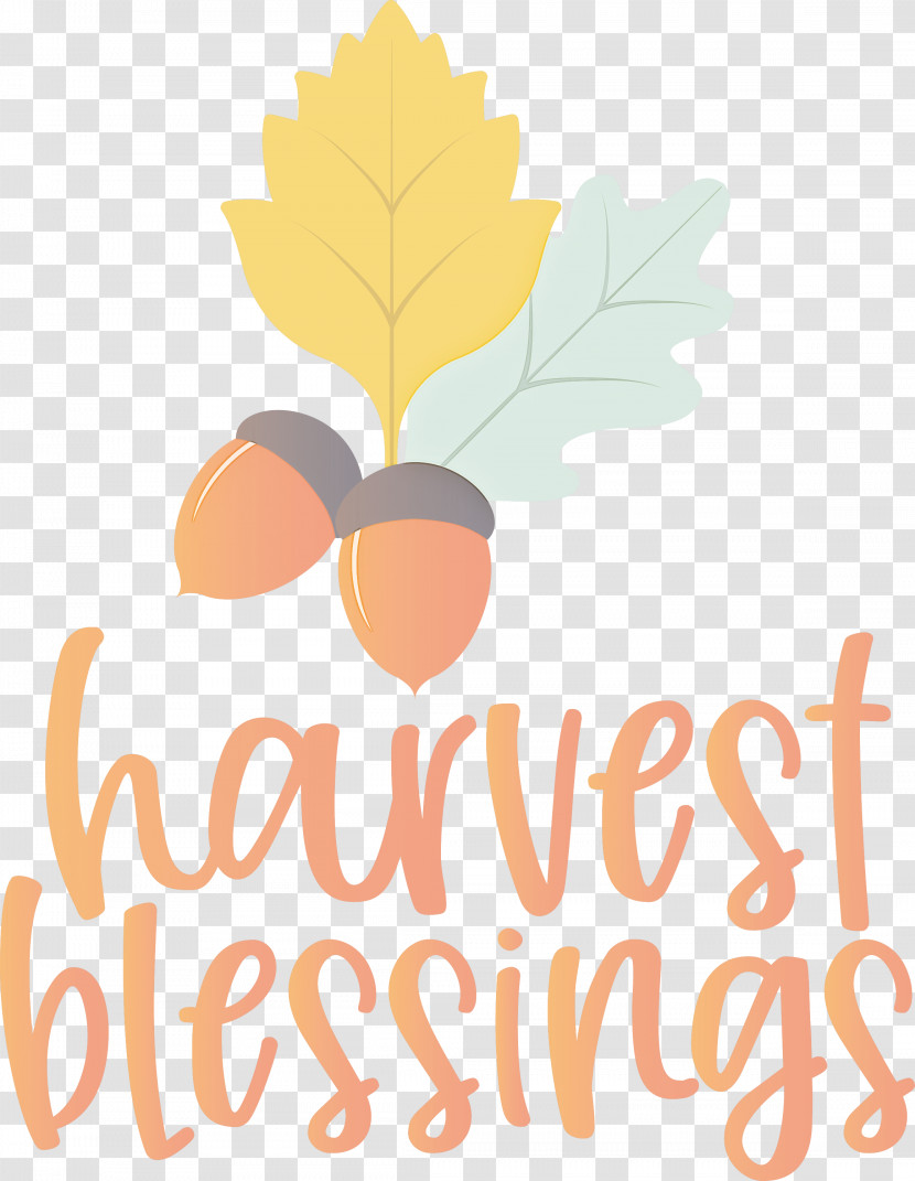 Harvest Autumn Thanksgiving Transparent PNG