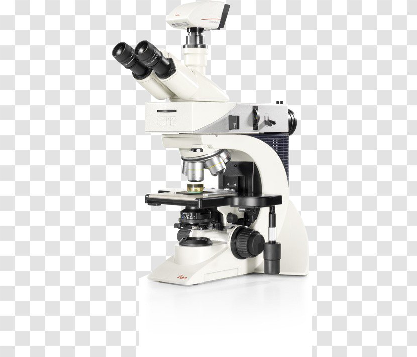 Optical Microscope Leica Camera Microsystems Optics - Wetzlar - Inverted Transparent PNG