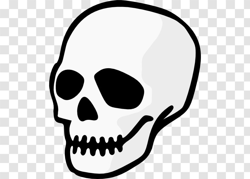 Skull Drawing Clip Art - Human Head - Navy Cliparts Transparent PNG