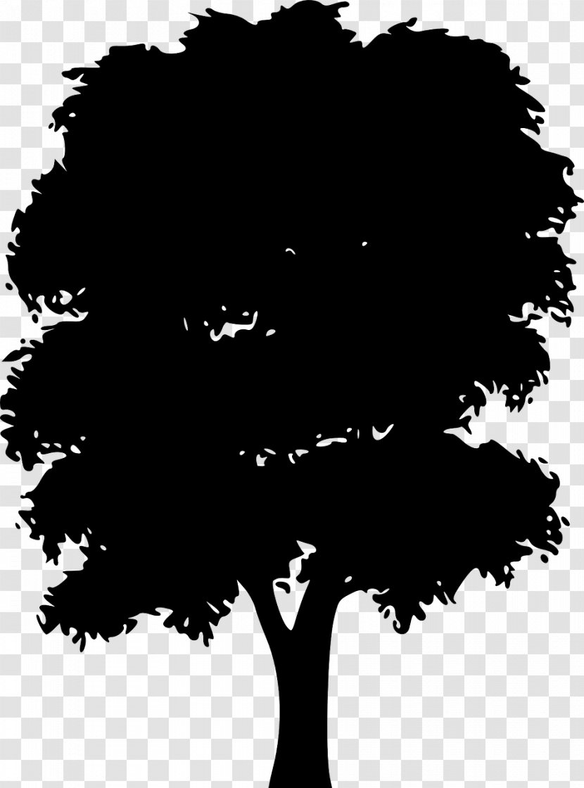 Vector Graphics Silhouette Clip Art Tree - Blackandwhite - Old World Sycomore Concert Transparent PNG