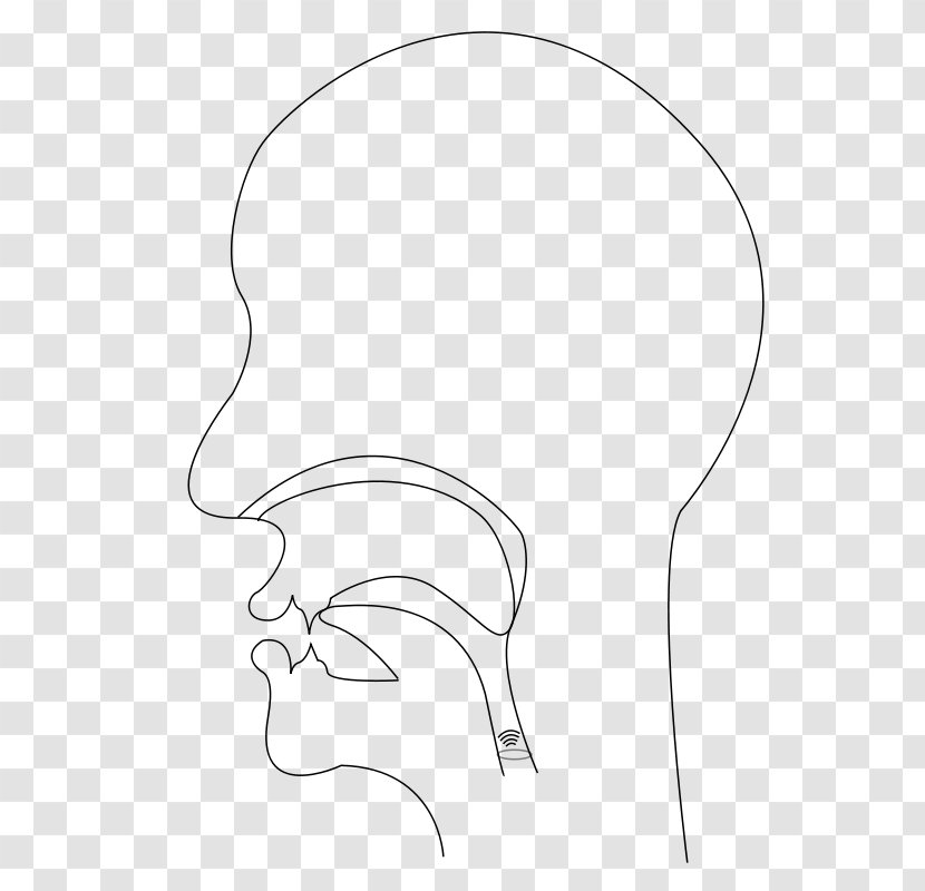 Ear Line Art Drawing /m/02csf Clip - Cartoon Transparent PNG