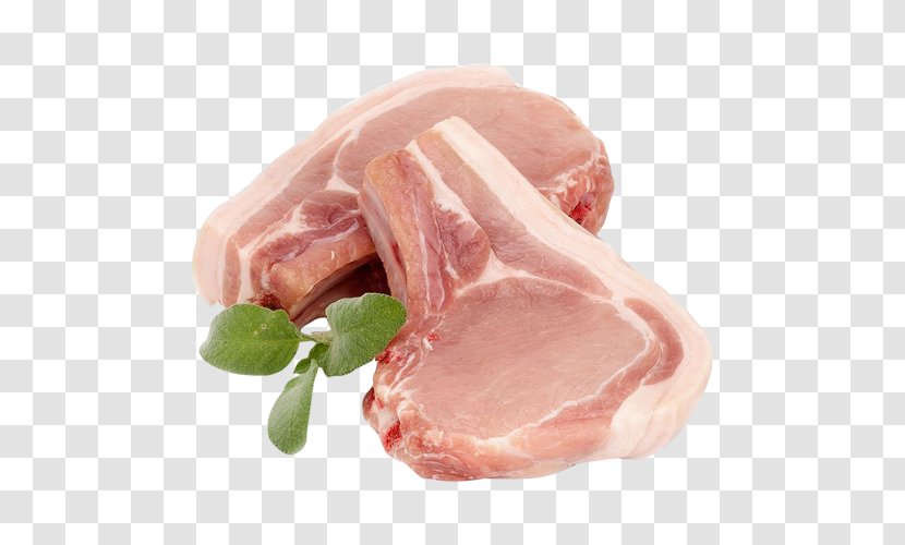 Back Bacon Pork Ham Pig - Frame Transparent PNG