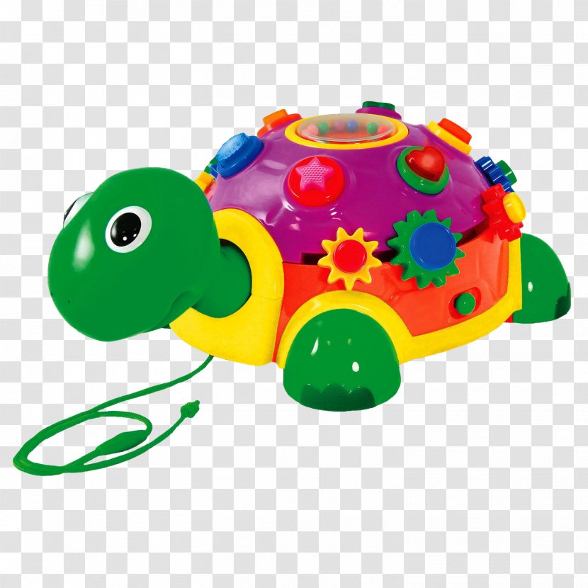 Turtle Educational Toys Child Toddler - Animal Figure Transparent PNG