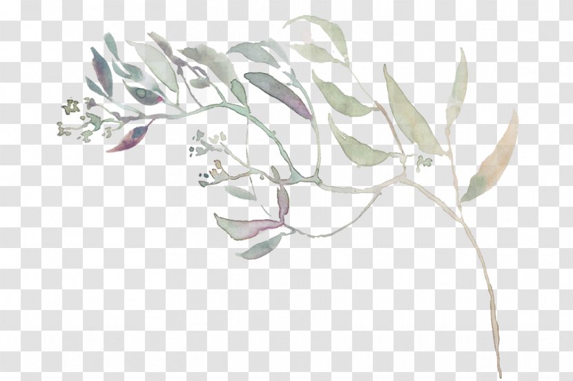 White Leaf Plant Flower Drawing - Herbaceous Line Art Transparent PNG