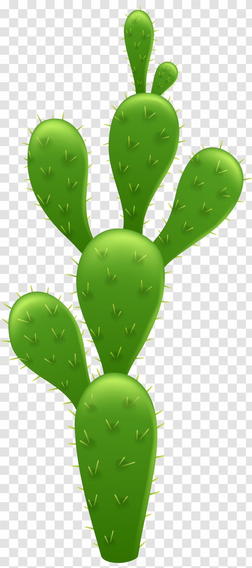Cactaceae Prickly Pear Clip Art - Cactus Transparent PNG