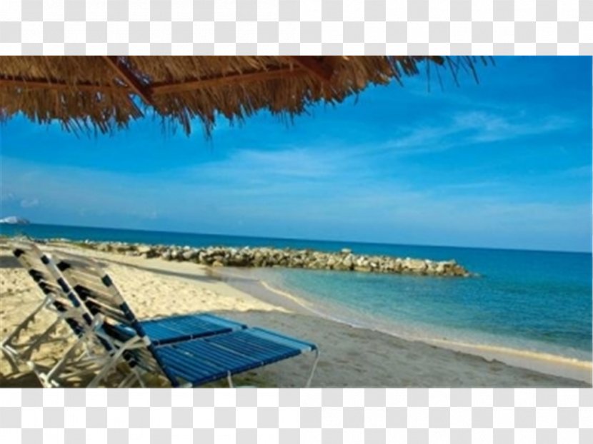 Flamingo Beach Resort Отель By Diamond Resorts Shore Hotel - Sea Transparent PNG