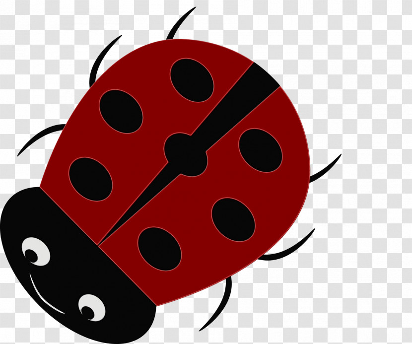 Ladybird Beetle Beetles Transparent PNG