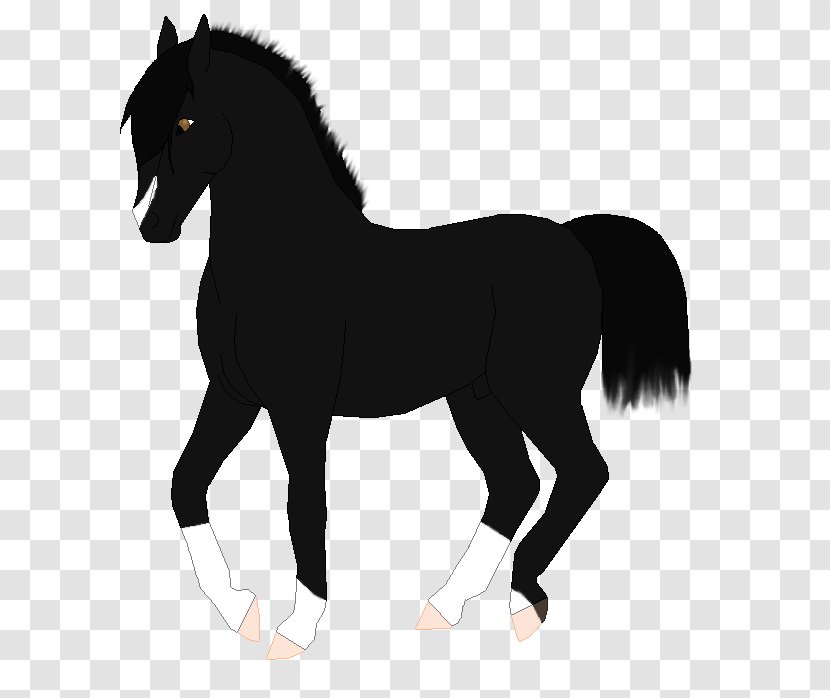 Mane Mustang Foal Mare Stallion - Fictional Character Transparent PNG