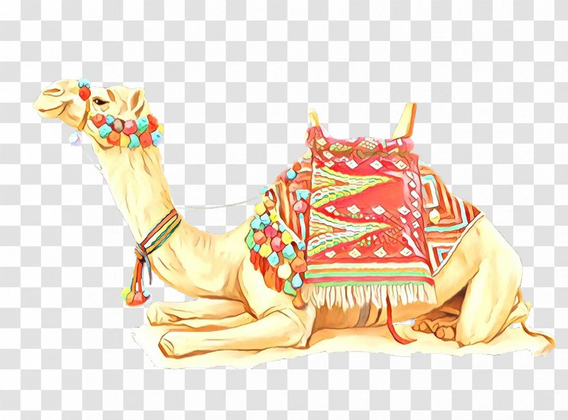 Dromedary Bactrian Camel Image Desert Train - Neck - Livestock Transparent PNG