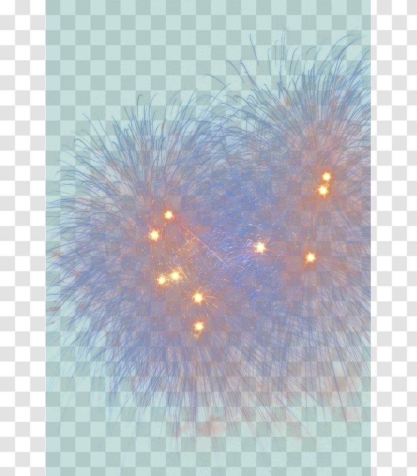 Sky Purple Close-up Organism Wallpaper - Space - Fireworks Transparent PNG