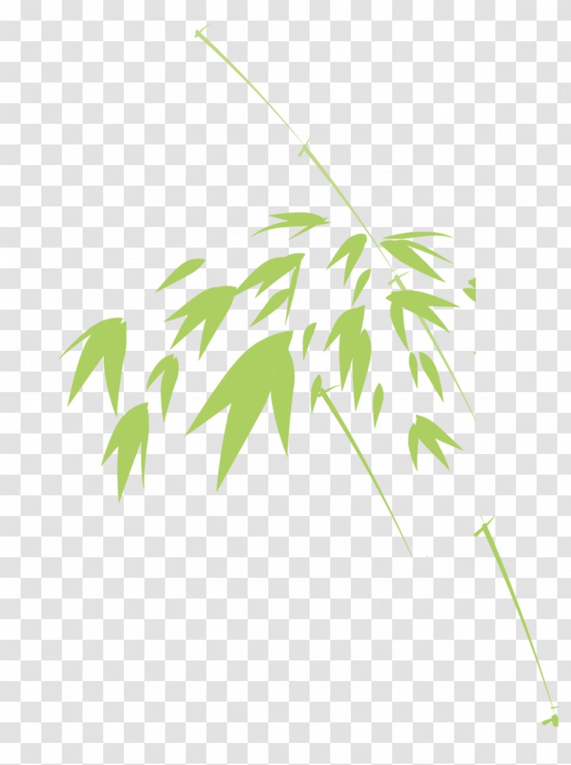 Bamboo Green Leaf - Tree - Leaves Transparent PNG