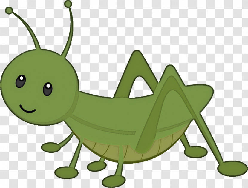 Insect Grasshopper Caterpillar Larva Locust Transparent PNG