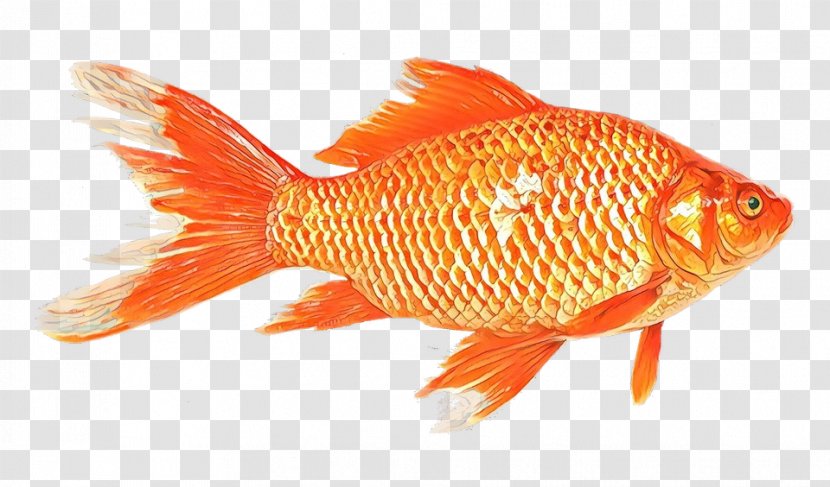 Fishing Cartoon - Snapper - Fish Products Pomacentridae Transparent PNG