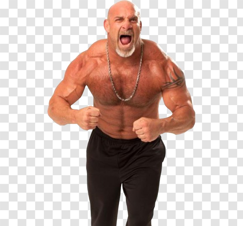 Bill Goldberg High-definition Video Wallpaper - Tree - Image Transparent PNG