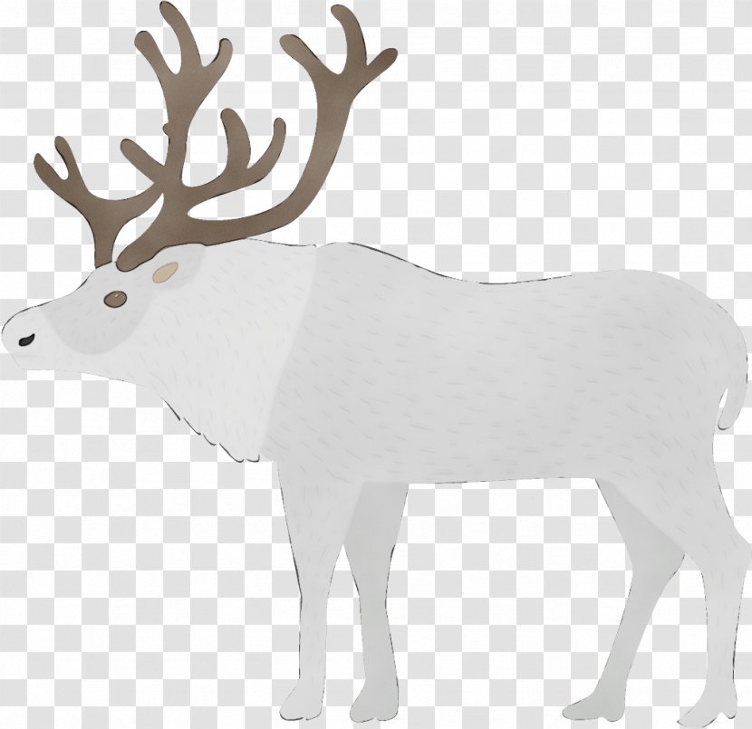 Reindeer - Deer - Sticker Animal Figure Transparent PNG