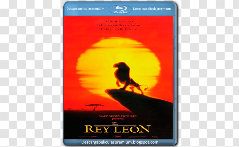 Simba Mufasa Animated Film The Walt Disney Company - Rey Leon Transparent PNG