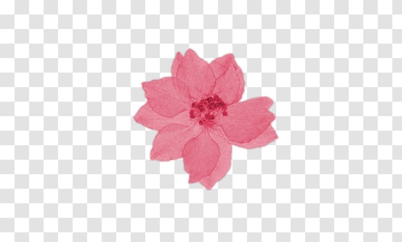 Petal Cut Flowers Pink M Larkspur - Flower Transparent PNG