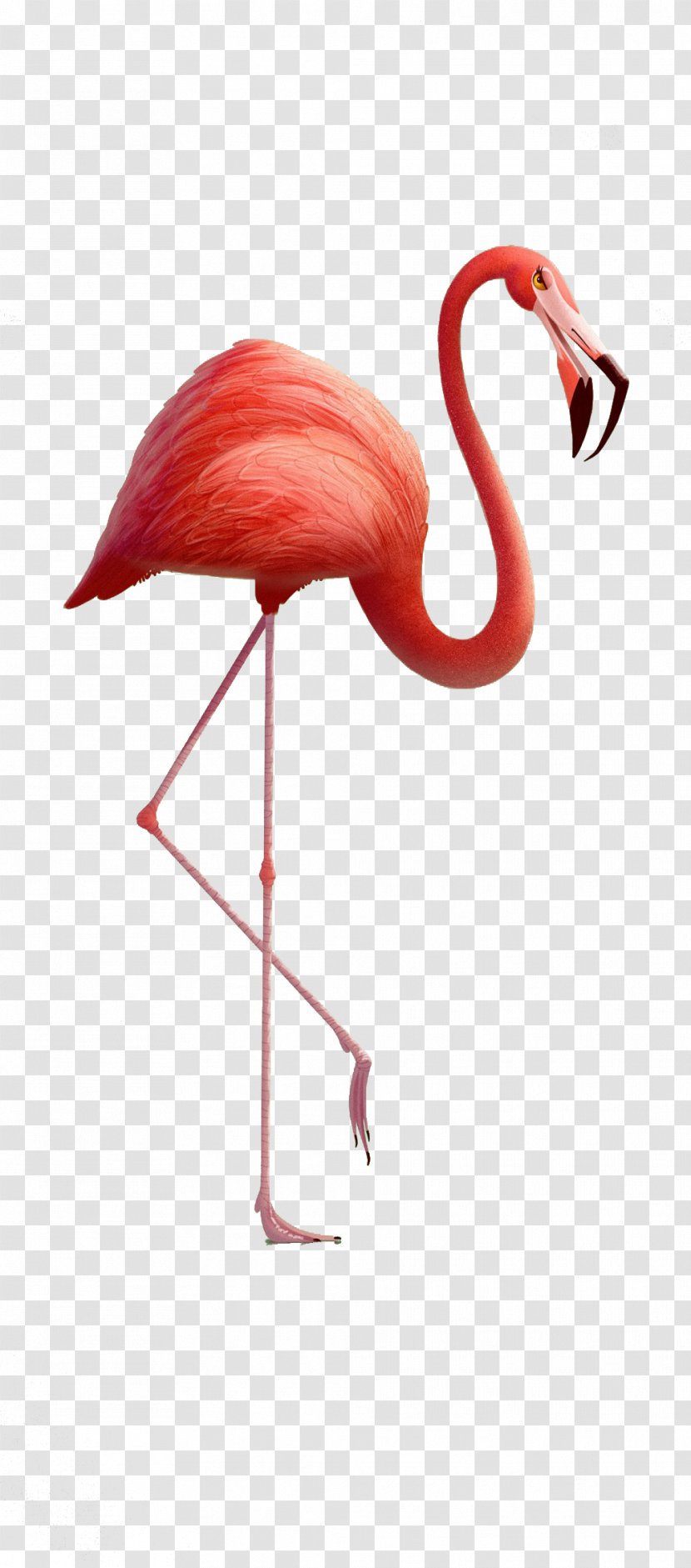 3d Red Red-crowned Crane - Work Of Art - Character Design Transparent PNG
