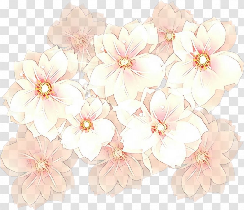 Cherry Blossom - Petal - Cut Flowers Branch Transparent PNG