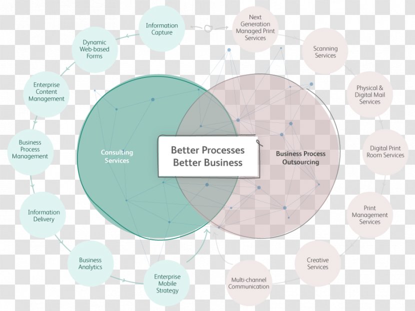 Brand Diagram - Organization - Design Transparent PNG