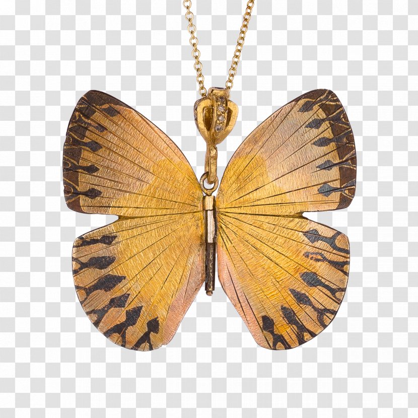 Butterfly Birdwing Moth Ornithoptera Goliath Necklace - Jewellery Transparent PNG
