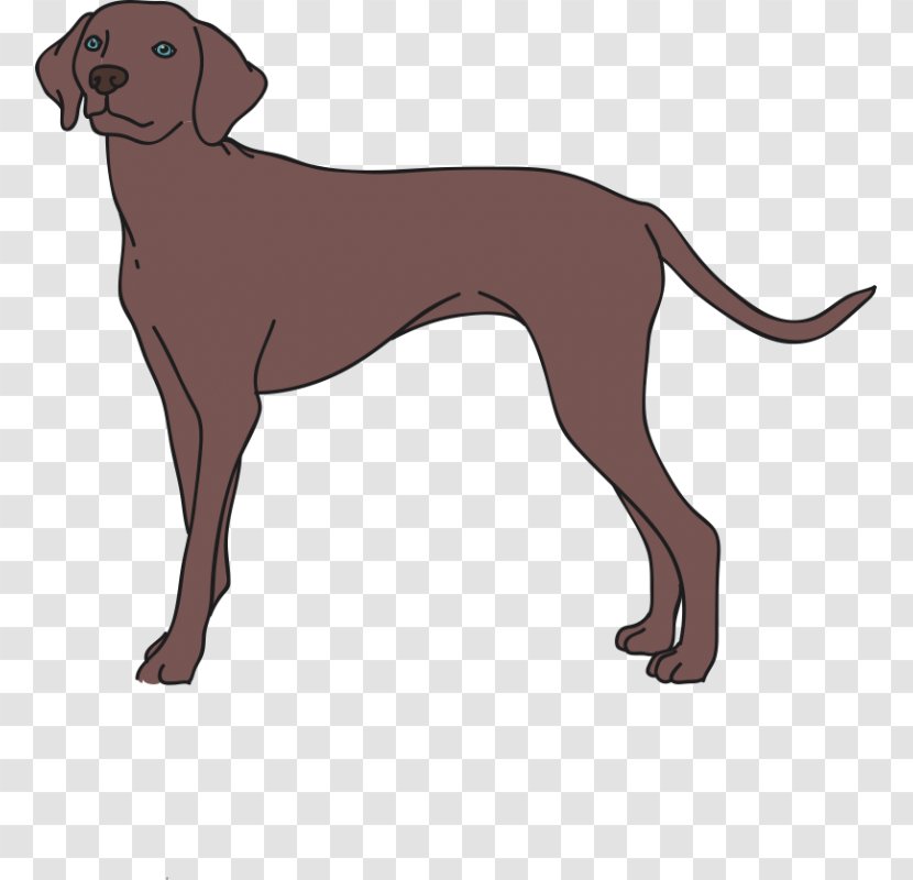 Dog Breed Italian Greyhound Redbone Coonhound Longdog Companion - Tail Transparent PNG