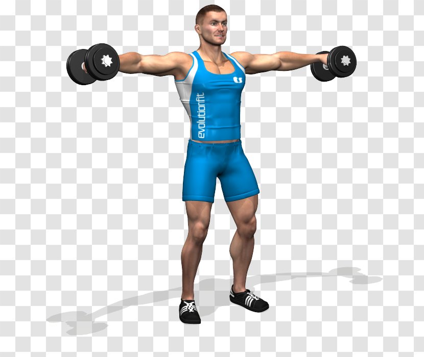 Dumbbell Fitness Centre Exercise Kettlebell Physical - Silhouette Transparent PNG