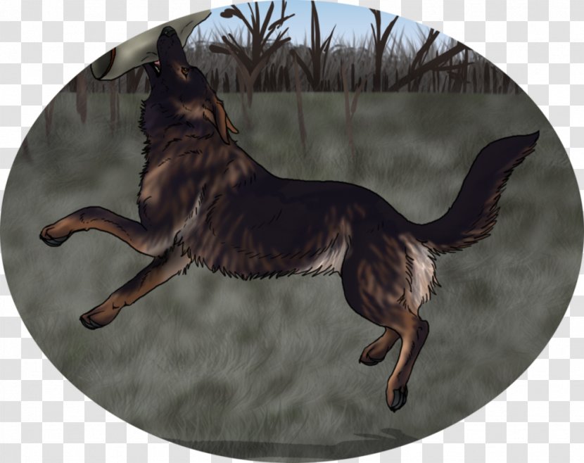 German Shepherd Dog Breed Razas Nativas Vulnerables - Group - Figo Transparent PNG