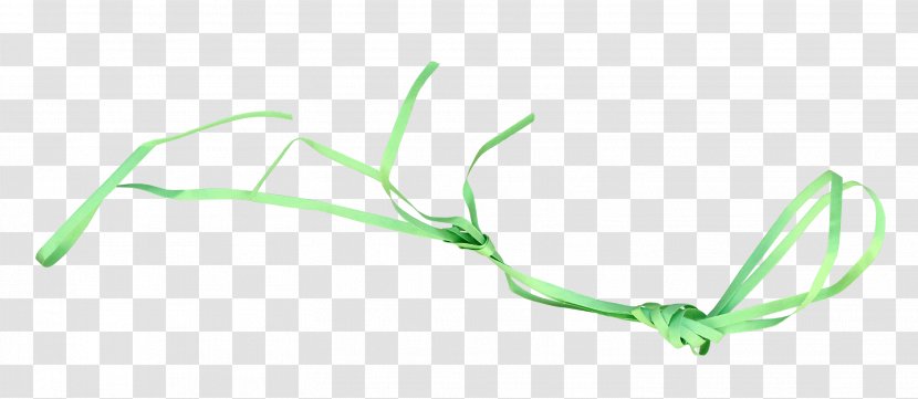 Ribbon Download Computer File - Text - Green Tie Transparent PNG