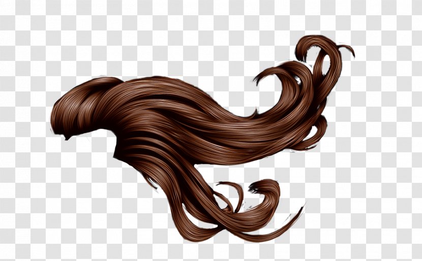 Red Hair Long Wig - Brown - Mermaid Tail Transparent PNG