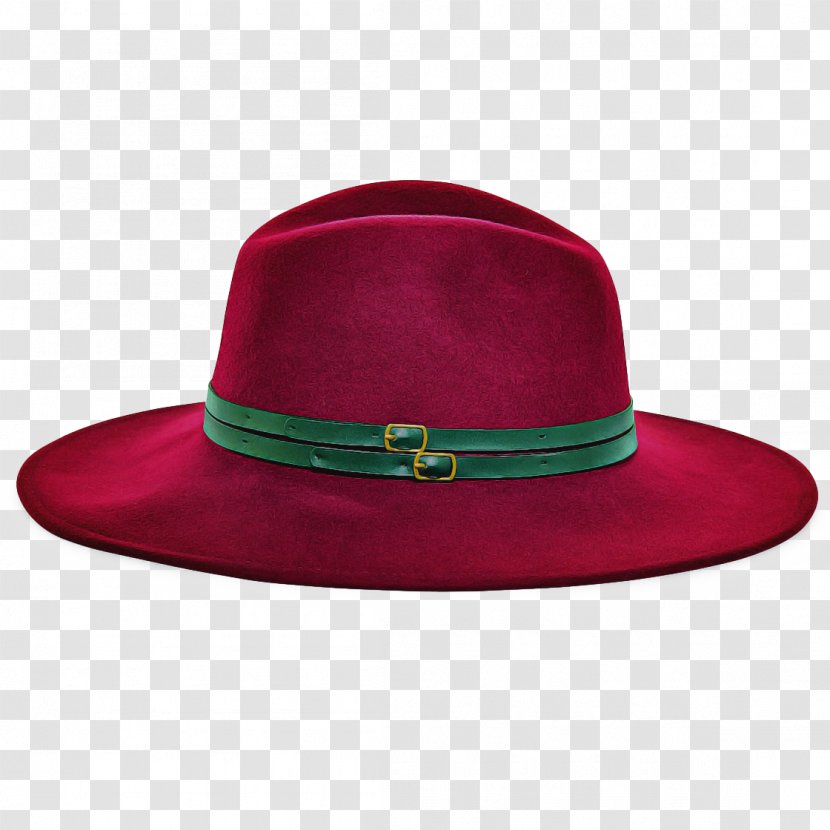 Sun Cartoon - Fedora - Fur Costume Transparent PNG