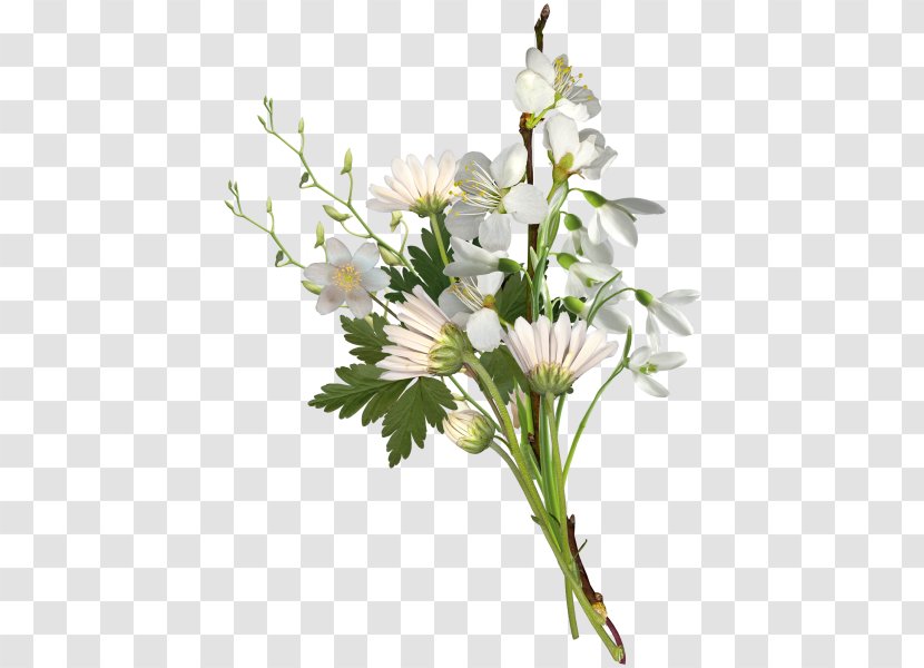 Flower Nosegay White Chrysanthemum - Arranging - Bouquet Transparent PNG