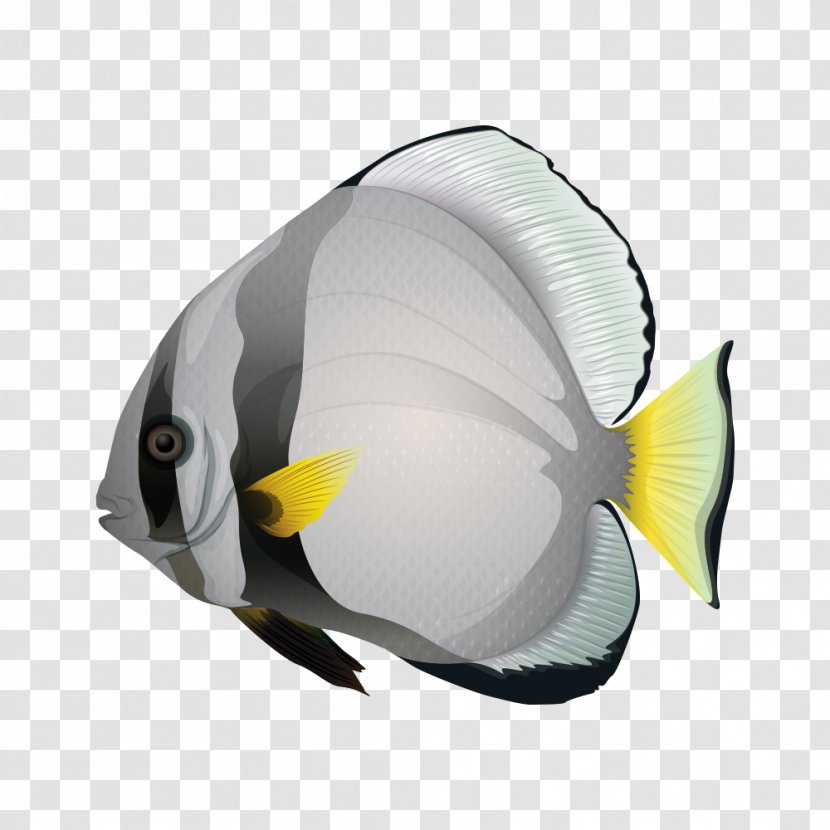 Fish U6d77u6c34u9b5a - Cartoon Transparent PNG