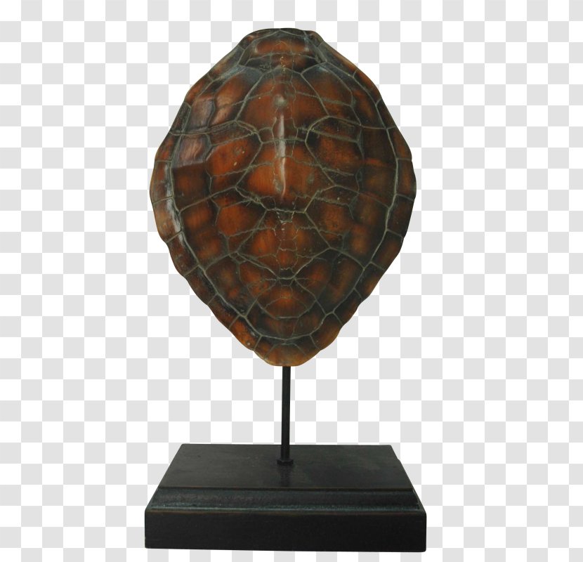 Pond Turtles Wood Tortoise /m/083vt Lighting - Turtle - European Decorative Pattern Transparent PNG