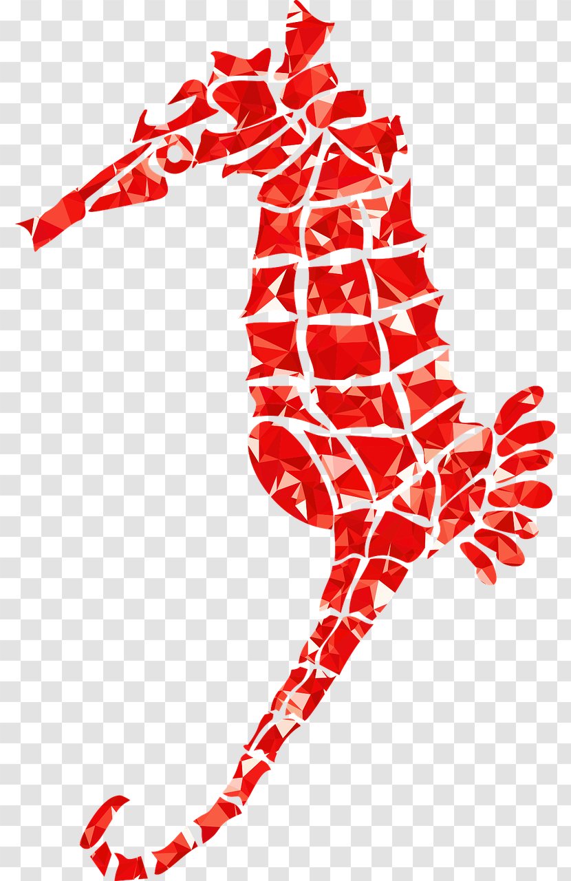 Seahorse Fish Pony Clip Art - Symbol Transparent PNG