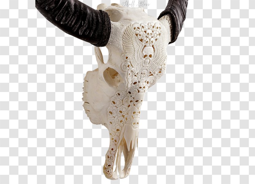 Skull Horn Water Buffalo Cattle American Bison Transparent PNG