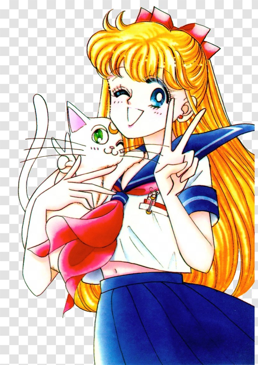Sailor Venus Moon Artemis Chibiusa Tuxedo Mask - Watercolor Transparent PNG