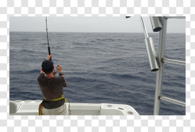Jigging Water Transportation Fishing Rods Casting - Rod Transparent PNG