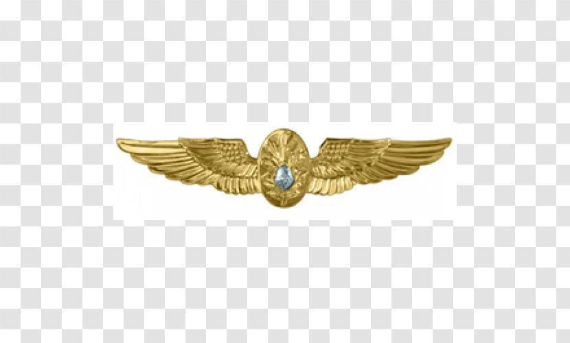 National Naval Aviation Museum Flight Surgeon Badge United States Navy - Commander Air Forces Transparent PNG
