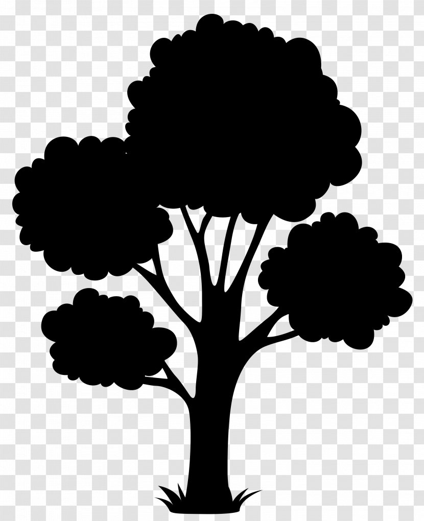 Tree Illustration Flowerpot Vector Graphics Bonsai - Botany Transparent PNG