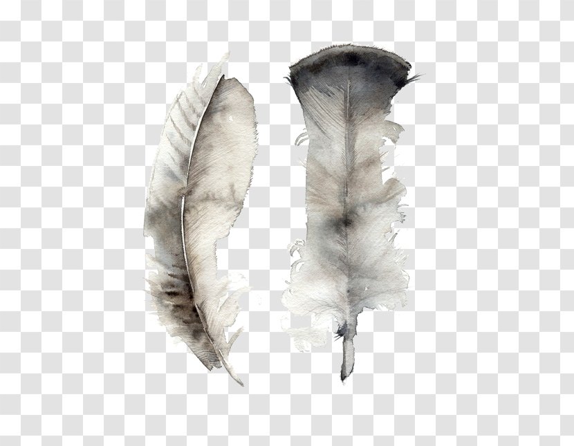Feather Watercolor Painting Art Canvas - Printing - Ink Transparent PNG