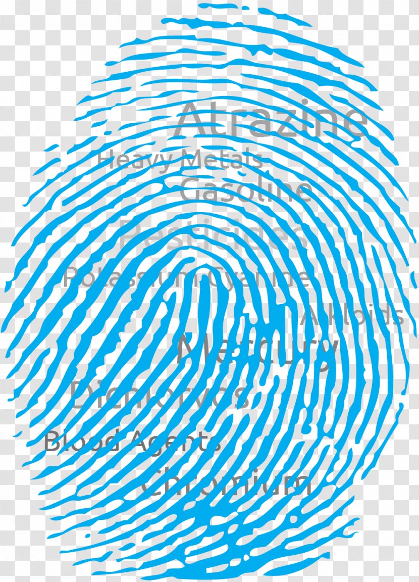 Fingerprint Clip Art - Information - Fingerprints Transparent PNG
