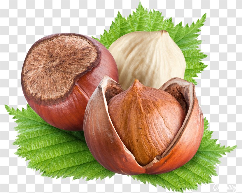 Hazelnut Food Vegetarian Cuisine Pine Nut - Recipe Transparent PNG