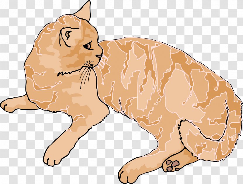 Kitten Siberian Cat Wildcat Tabby Clip Art - Carnivoran Transparent PNG