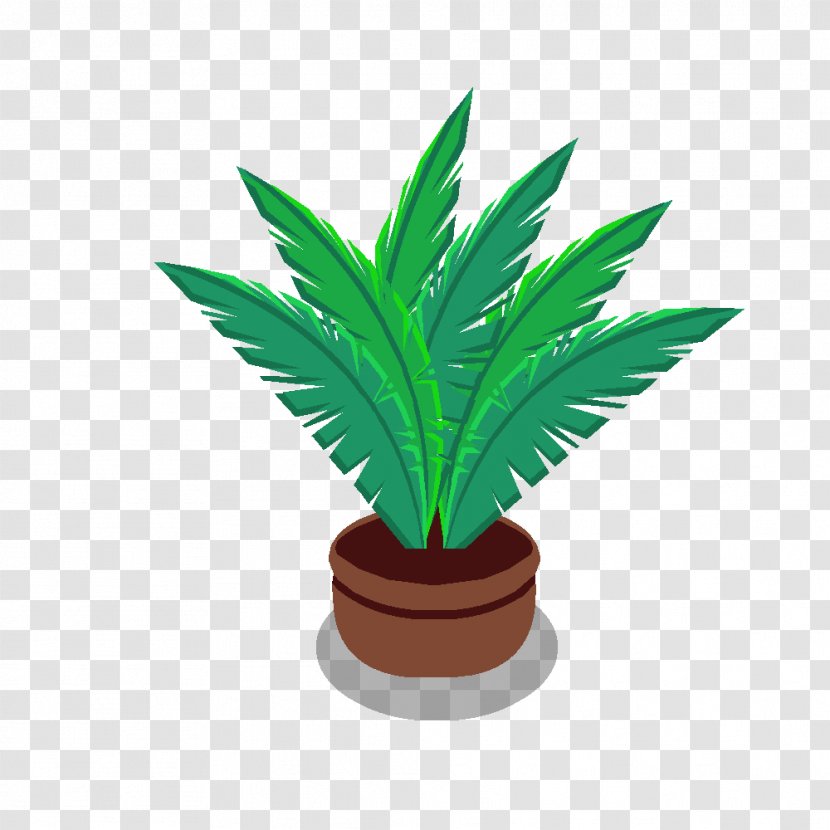 Palm Trees Plants Flowerpot Houseplant - Terrestrial Plant - Plantes Transparent PNG