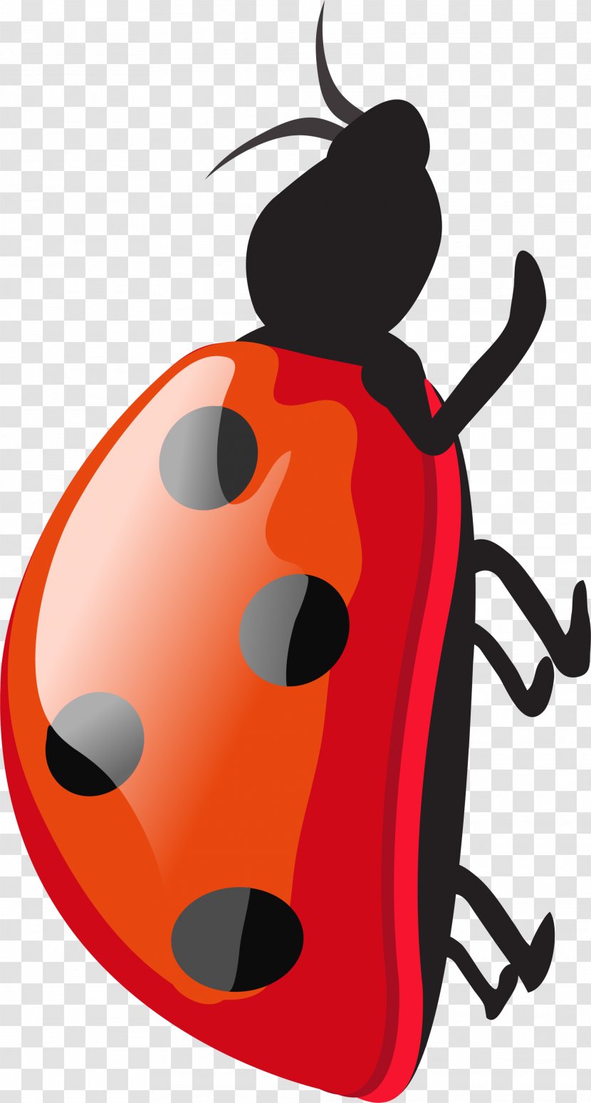 Ladybird Red Cartoon - Drawing - Ladybug Transparent PNG