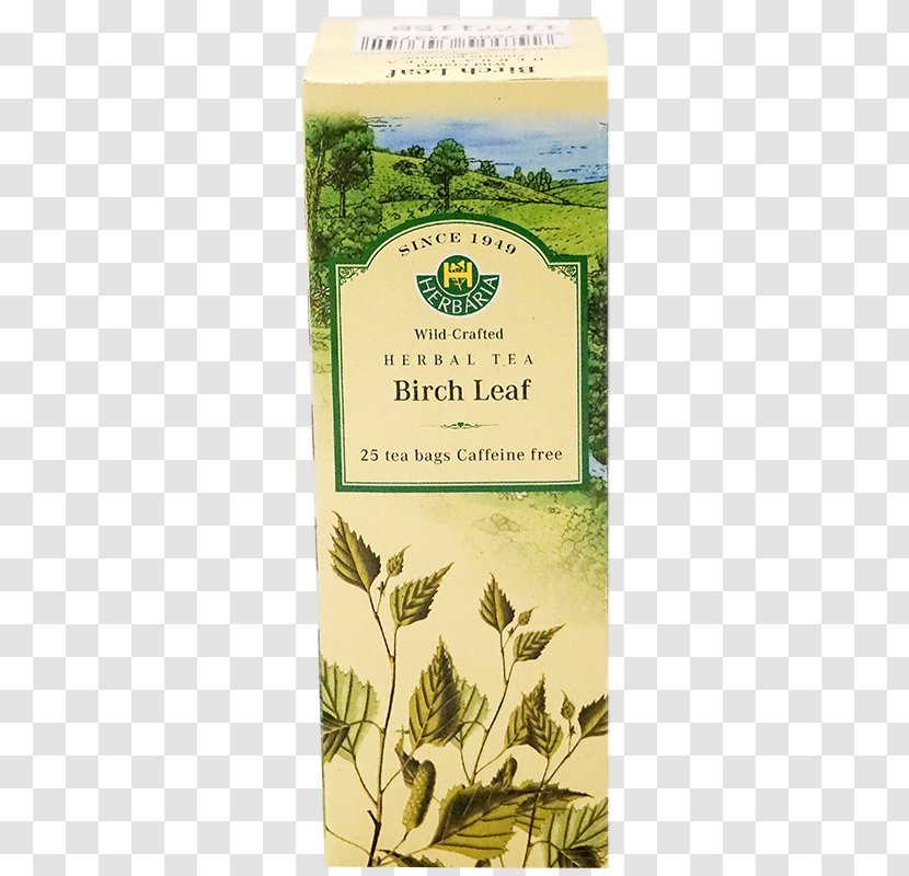 Herbal Tea Bag Grocery Store - Herbalism - Betula Pendula Transparent PNG
