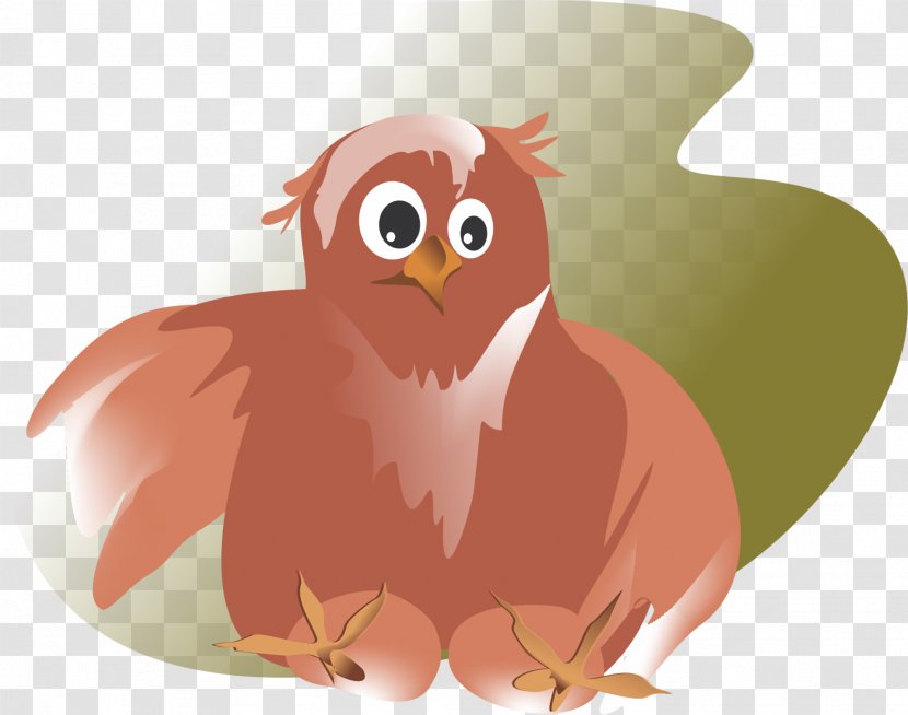 Owl Bird - Animation - Judo Transparent PNG